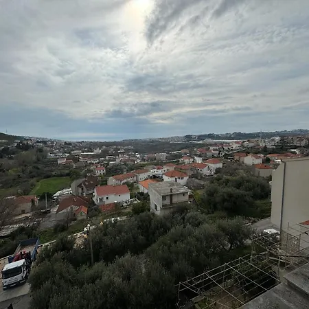Pupina *