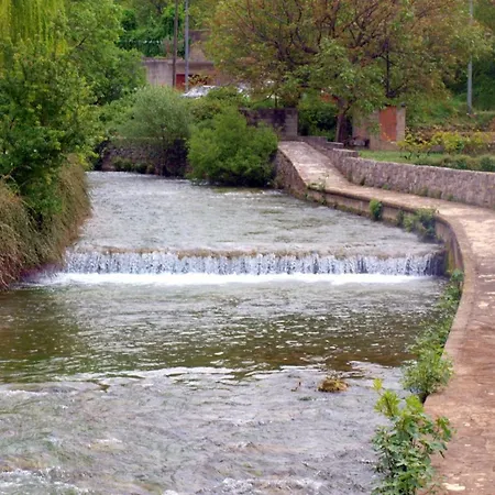Pupina * Zrnovnica